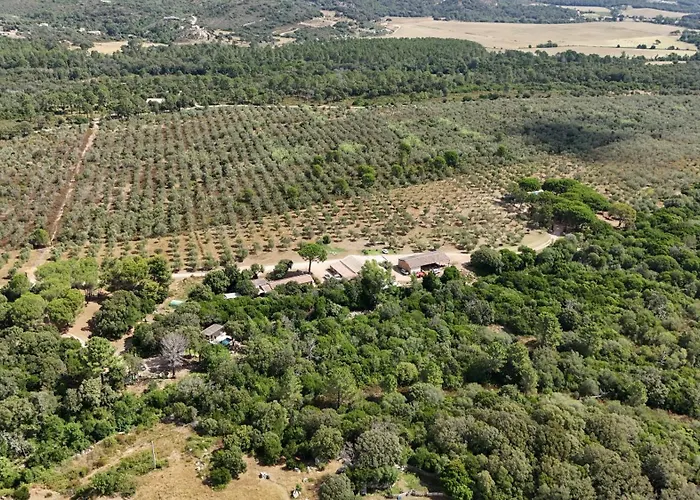 Arena Horská chata *